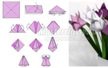 Оригами цветы: легкие схемы для детей Красивый цветок оригами из бумаги