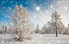 Прикольные гифки Новый год – веселые новогодние приколы про елку, Снегурочку и Деда Мороза